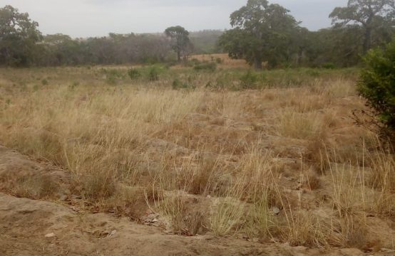 Terreno 2 Hectares  Bengo Junto ao Rio Kwanza