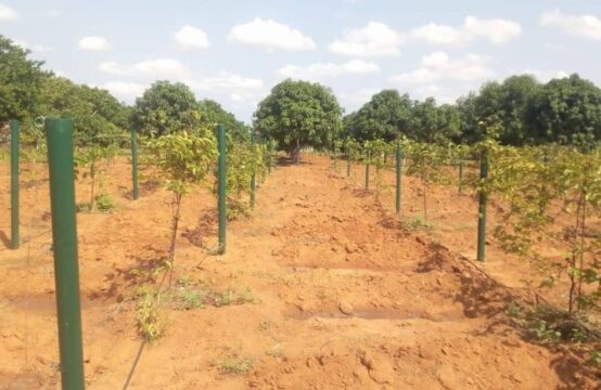 Fazenda de 5 hectares totalmente vedada